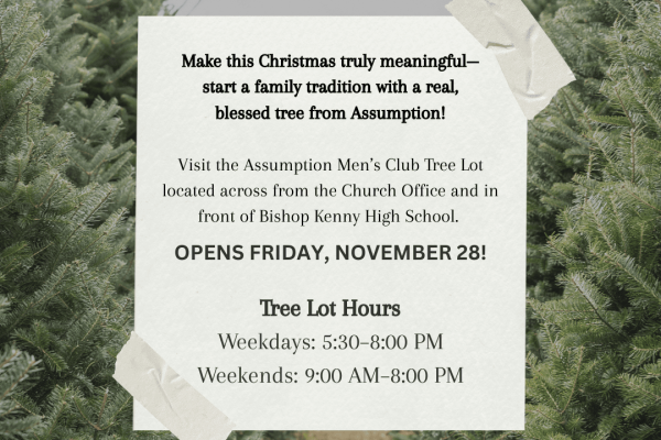 Keep Christ in Christmas with a Real Christmas Tree from Assumption!